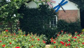 Begin your visa-prepared day with Vietnam’s tranquil ambiance